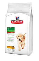 Hill's SP Puppy Large Breed Chicken корм для цуценят великих порід із куркою, 2,5 кг, фото 2