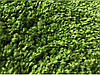 Зелений довговорсовий килим Shaggy DeLuxe 8000-60, фото 3