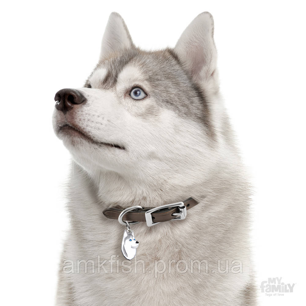 MyFamily медальон-адресник для собак Хаски - фото 2 - id-p1096891192