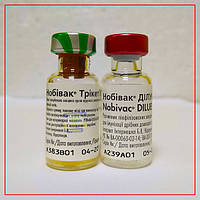 Вакцина Нобівак Трикет (Nobivac Tricat) без розчинника для кошенят і кішок - 1 доза
