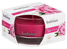 Свічка ароматична в склі півонія Bolsius (71-113 PEO)