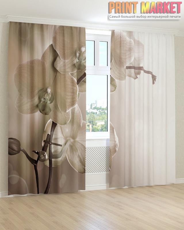 Біла орхідея краплі на склі