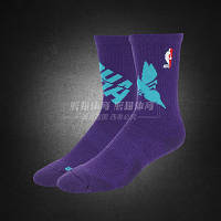 Фиолетовые баскетбольные носки Шарлотт Charlotte Hornets Nike Elite Crew