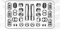 Ремкомплект шкворня MAN F 2000, L2000 (на 2 стороны) ( ERREVI ) 711744