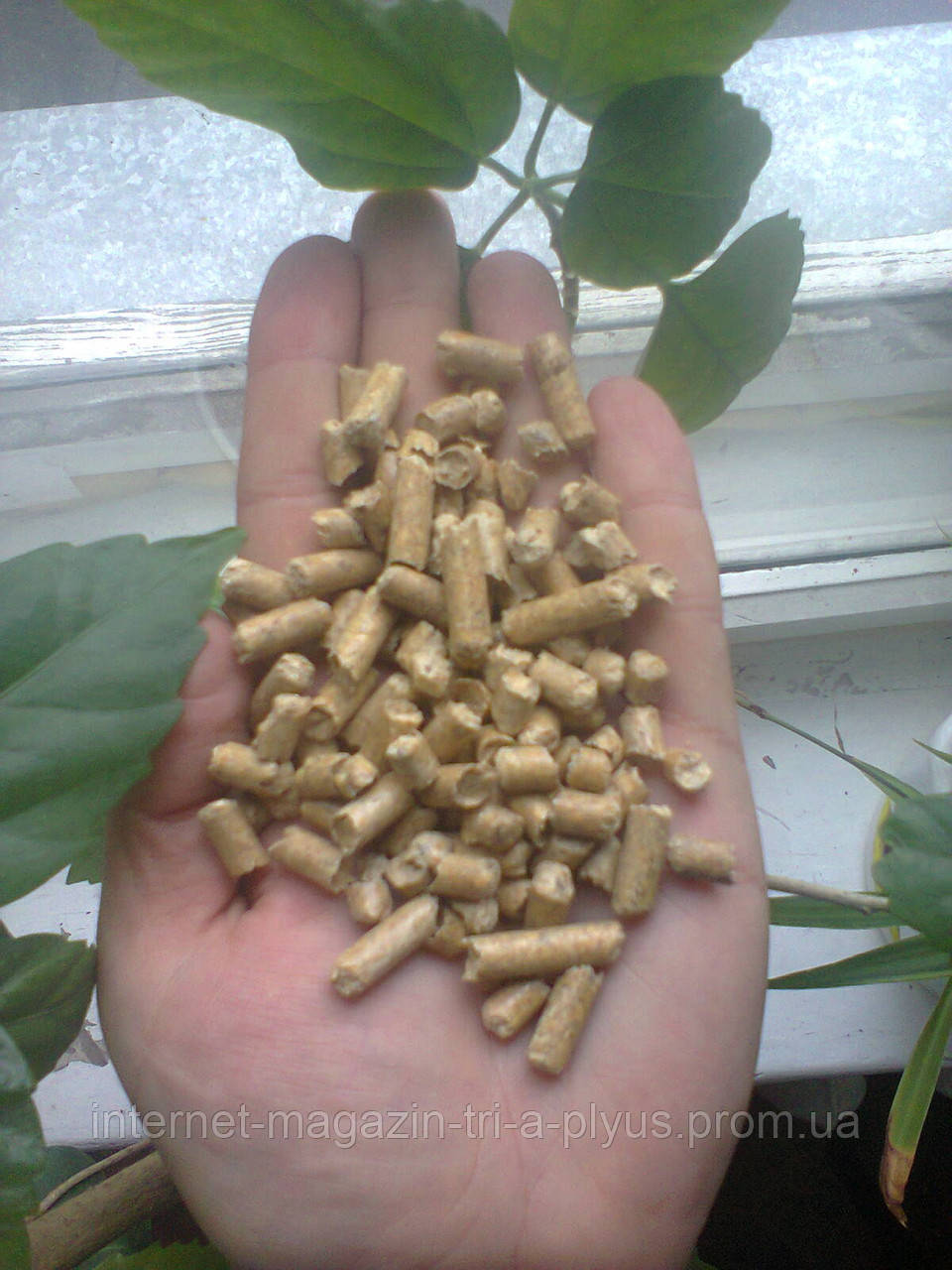 Pellet giallo-grigio chiaro di legno ingrosso, 0,29% - 0,33% cenere, Sacchi di 15 kg, CIF Napoli