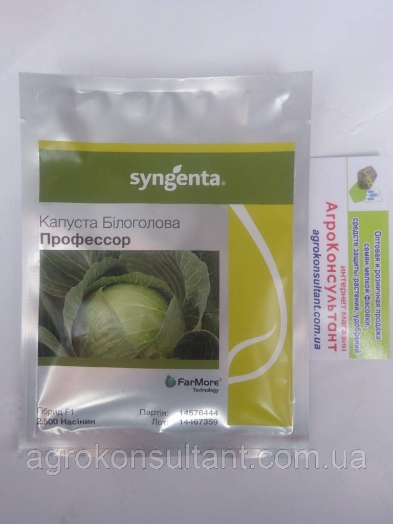 Насіння капусти Професор F1 (Syngenta), 2 500 насінин ― середньопізня (115-120 днів), білокачанна, кругла
