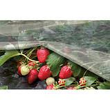 Агроволокно Щільність 42г/кв.м Біле AGREEN (3.2м х 100м), фото 7