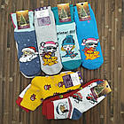 Шкарпетки новорічні жіночі махра Смалій Рубіжне Україна 23-25 розмір НЖЗ-010868, фото 2