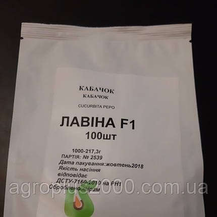 Насіння Кабачок Лавина F1 100 насіння Lucky Seed, фото 1