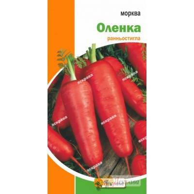 Насіння моркви "Оленка", 3 г, фото 2