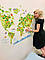 Вінілова наклейка на шпалери "Дитяча карта світу", фото 6