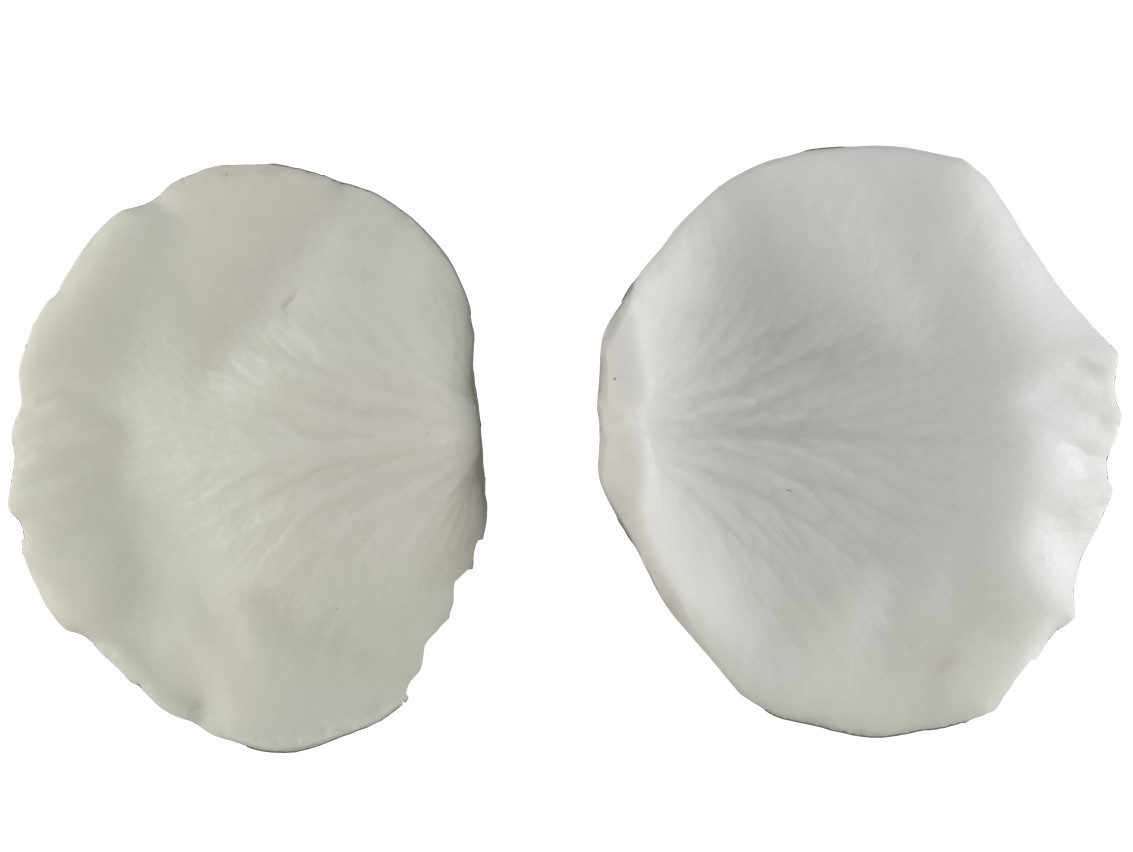 Вайнер Пелюстка Троянди середній