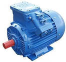Електродвигун 2В 250S8 (37кВт/750об / хв) АІМ, ВА, В, 3В, ВАО2, 1ВАО, фото 2