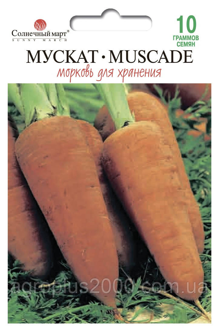 Насіння Морква Мускат 10 грамів Сонячний мар