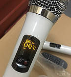 Акумуляторна колонка з підсилювачем Temeisheng QX-1221 Комбік, фото 4