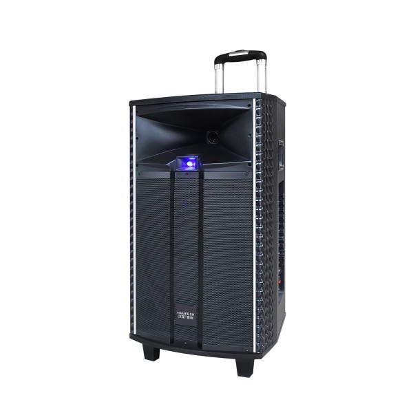 Акумуляторна колонка з підсилювачем Temeisheng QX-1221 Комбік