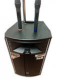 Акумуляторна колонка з підсилювачем Temeisheng QX-1221 Комбік, фото 3