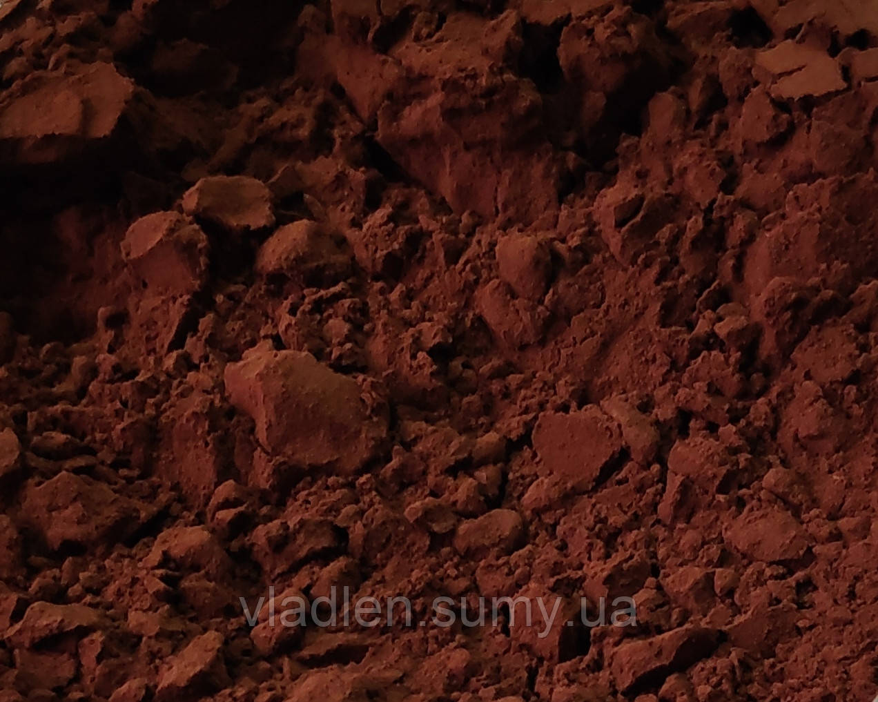 Какао порошок Barry Callebaut алкалізований (повножирний) 22-24% 500 г, фото 1