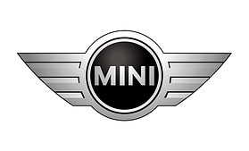 Автомобільні килимки EVA на Mini Cooper