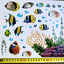 Наклейки у ванну "дельфін і рибки" (лист25*70 см) рибки наклейки для дітей, фото 3