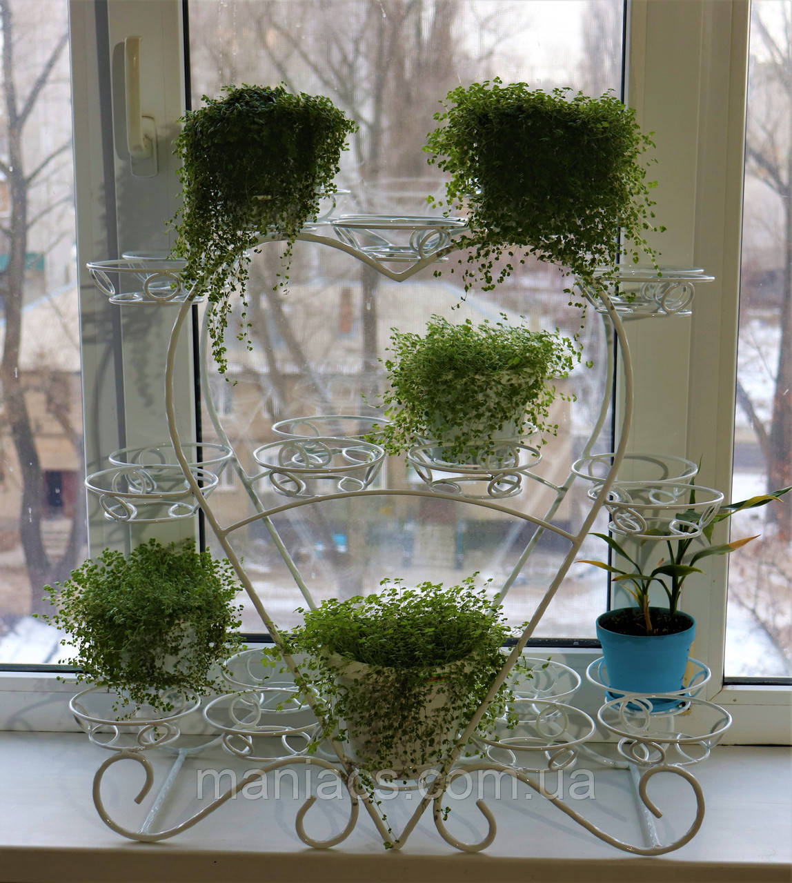 Фіалка-1, підставка для квітів на 28 чаш, фото 1