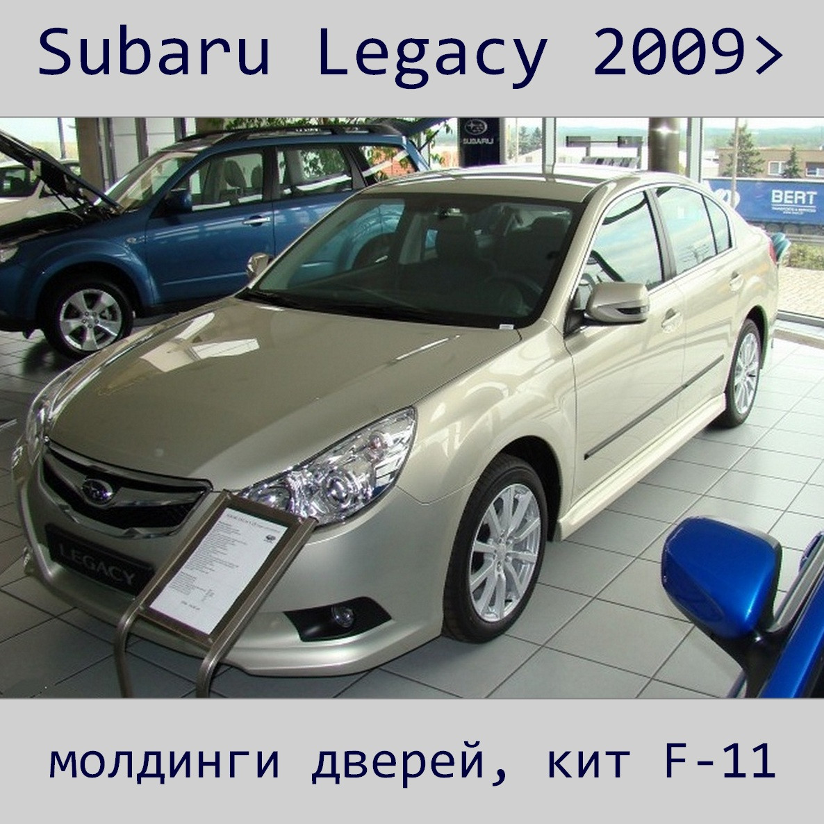 Молдинги на двері для Subaru Legacy 2009-2014