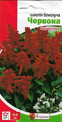 Насіння квітів Шавлія блискучий Червоний , 0.2 гр