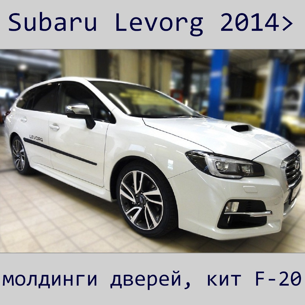 Молдинги на двері для Subaru Levorg 2014+