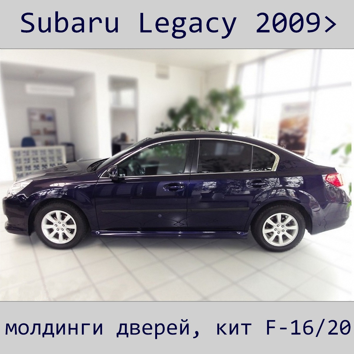 Молдинги на двері для Subaru Legacy 2009-2014