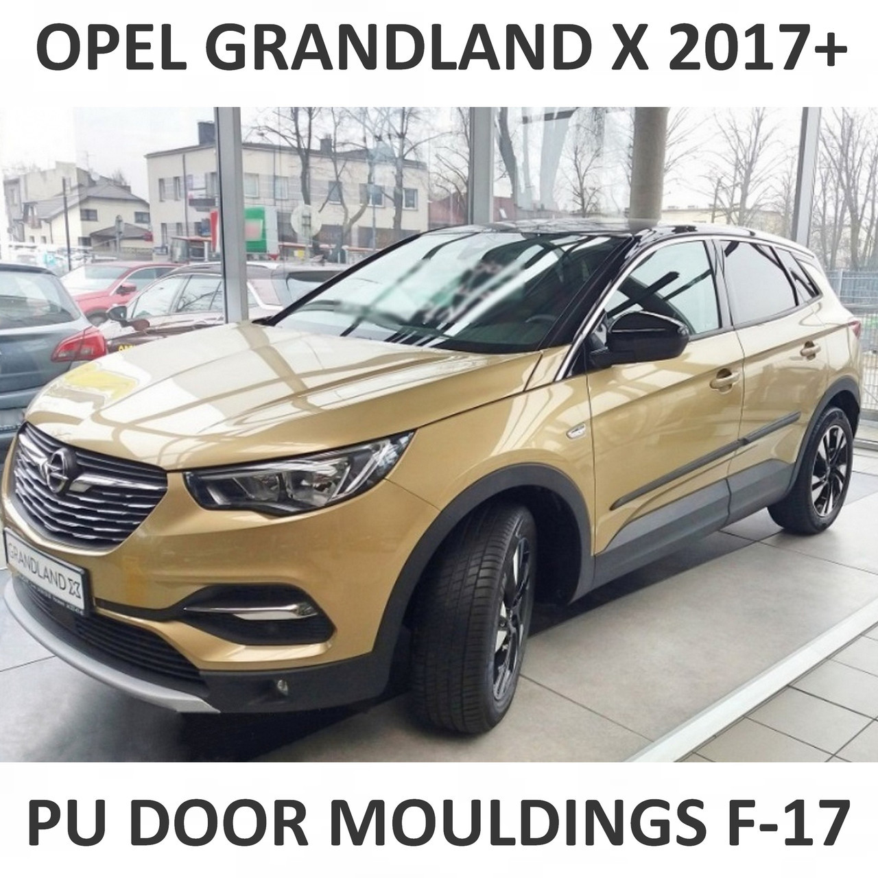 Молдинги на двері для Opel Grandland X 2017+