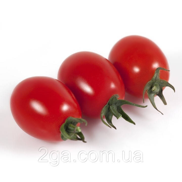 КС 3640 F1/KS 3640 F1 — Томат чері, Kitano Seeds. 250 насіння