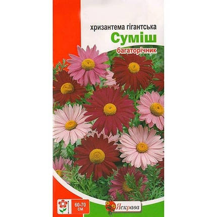 Насіння квітів Хризантема гігантська суміш, 0.2 гр, фото 2