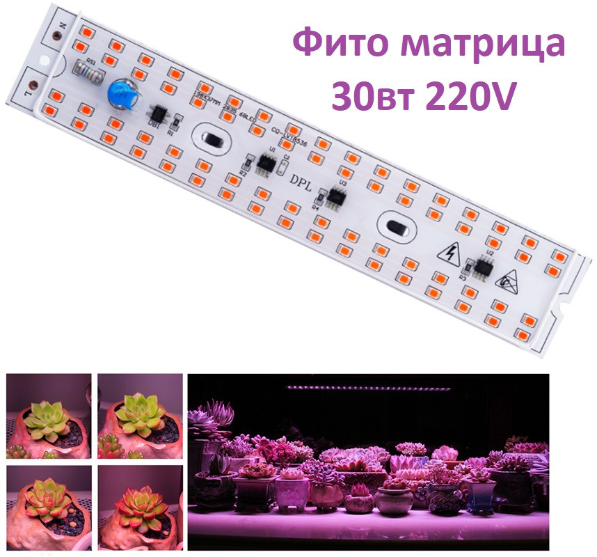 Светодиодная led фито матрица LEDTech, для фито светильник полного спектра 30вт - фото 1 - id-p1099486954