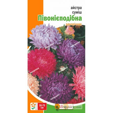 Насіння квітів Айстра Суміш пионообразная, 0.3 гр, фото 1