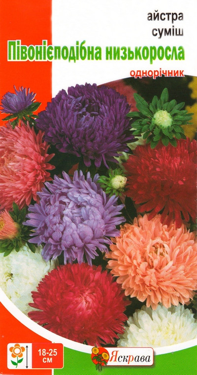 Насіння квітів Айстра Суміш пионообразная низька, 0.3 гр