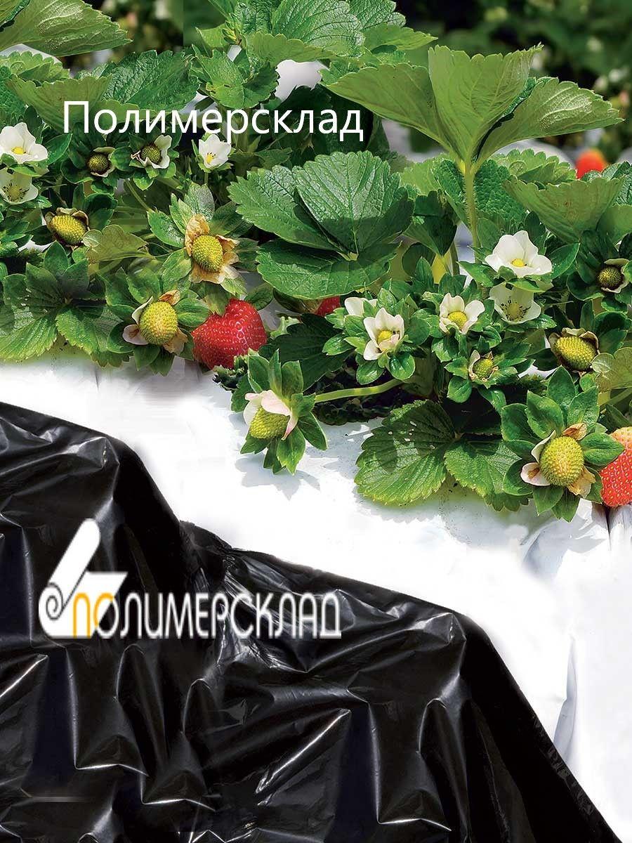 Чорно-біла плівка МУЛЬЧУЮТЬ 1200x40x500