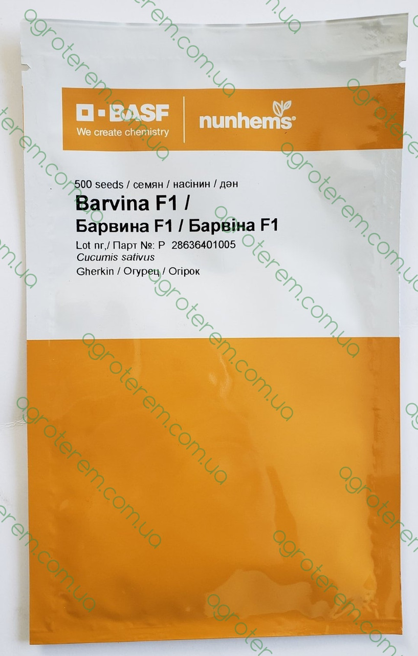 Насіння огірка Барвіна Barvina F1 500 н., фото 1