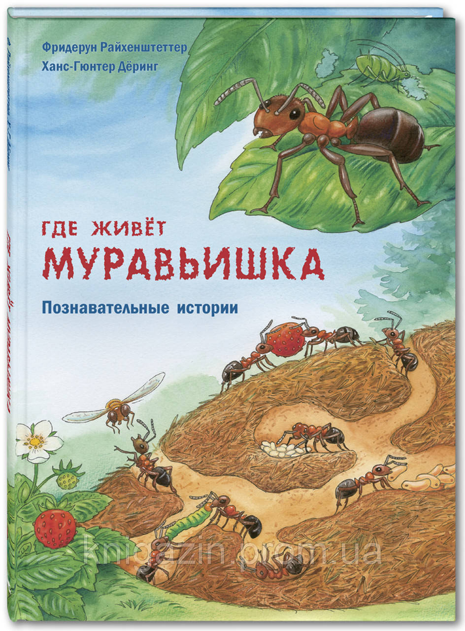 Дитяча книга Де живе муравьішка. Пізнавальні історії Для дітей від 0 до 6 років