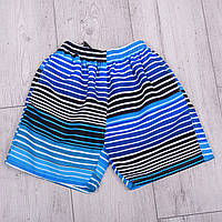 Чоловічі шорти в лінію (плащівка), синього кольору