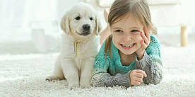 Про неприємні запахи