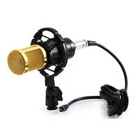 Студійний конденсаторний мікрофон Music D. J. M-800