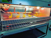 І клітка, і брудер – наш винахід для молодняку сільськогосподарської птиці