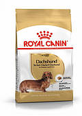 Корм для такси Royal Canin Dachshund 1,5 кг