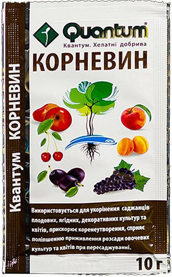 ПРОСТРОЧЕННЯ! Quantum Корневін 10 г