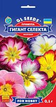 Примула Гігант Селекта махрова 0,1 г