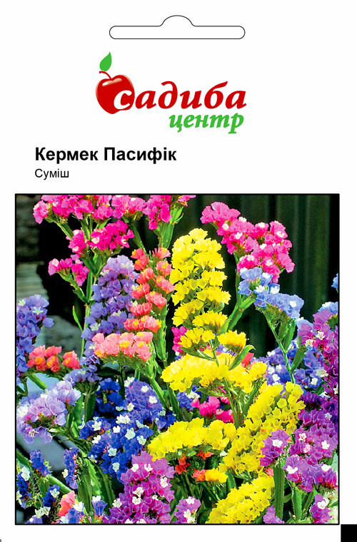 Кермек (статиця) Пасифік суміш (СЦ) 0,2 г