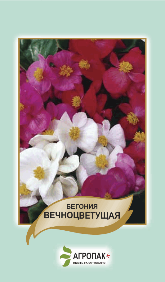 УЦІНКА! Бегонія вечноцветущая 0,01 г