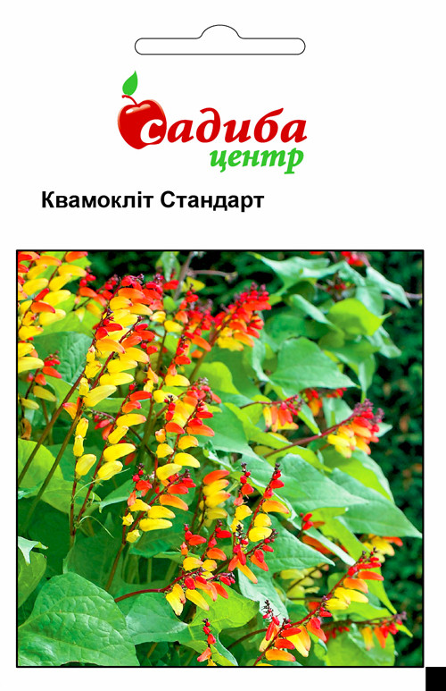 ПРОСРОЧКА! Квамоклит Стандарт 0,2 г