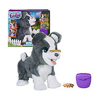 Hasbro e0384 discount