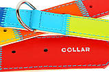 Нашийник COLLAR GLAMOUR (КОЛАР ГЛАМУР) «Веселка» 30-39 см 20 мм, фото 4
